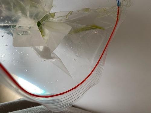 水抜きをする