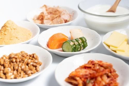様々な発酵食品