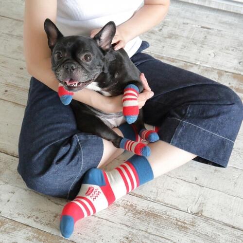 お揃いの靴下 Skitter を履いて愛犬との暮らしをもっと楽しく ニュース オリーブオイルをひとまわし