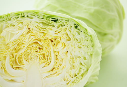 「これダメだったの！？」キャベツの”食べちゃいけないサイン”に要注意！知って得する＜正しい保存方法＞を解説