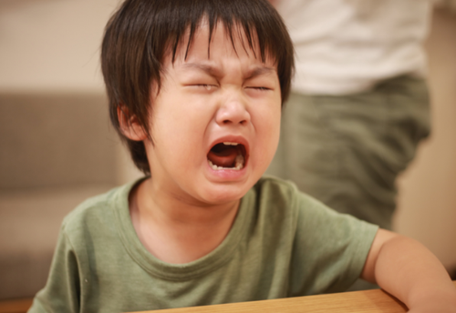 【4歳息子が大号泣！？】ママ友「それやめた方がいい！」私「でも、大丈夫でしょ」⇒忠告を甘く見た結果…”まさかの悲劇”が（汗）