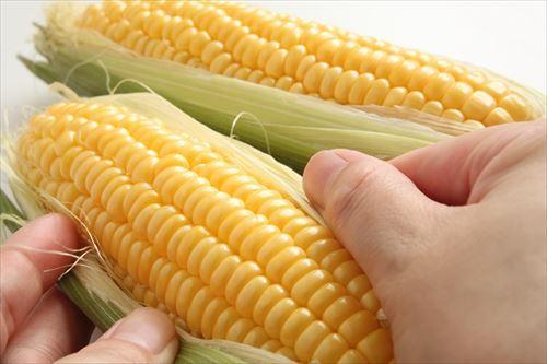 『とうもろこし』は絶対に冷凍して～！知らないと損する＜甘みを逃さない秘訣＞を徹底解説！