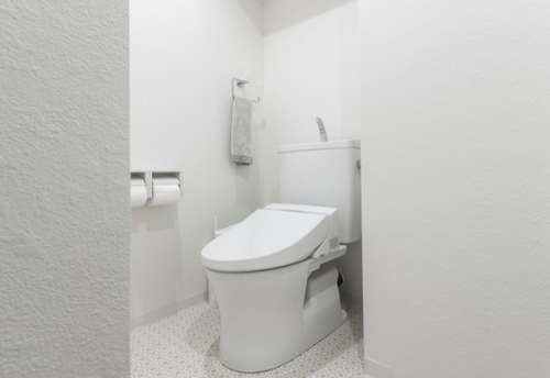 トイレ掃除で”やめた方がいいNG方法”があった!?部屋中を雑菌まみれにしてるかも…