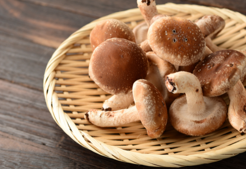 「しいたけ」の食べちゃいけない特徴って…！？⇒今すぐ見分け方をチェックして！
