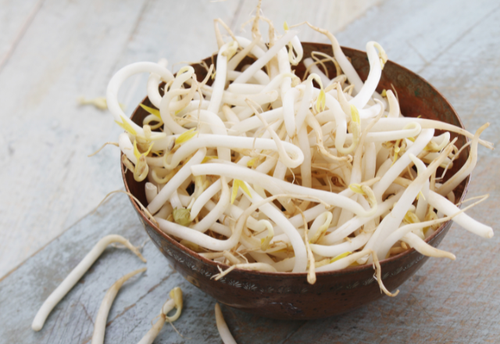 「もやし」そのまま冷蔵庫はダメ！→もやしを長持ちさせる【正しい保存方法】を徹底解説