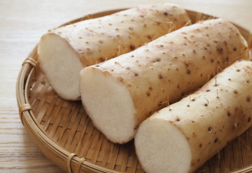 スーパーで迷わない!旬の長芋を失敗せず選ぶ【美味しい見分け方】を教えます