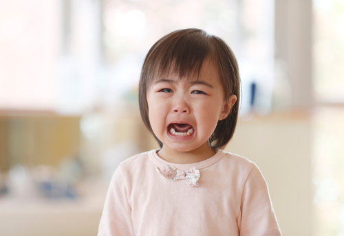 【幼稚園の娘が大泣き】娘「お弁当に入れて!」母「それだけは無理…」母が必死に止めた”衝撃の食材”とは