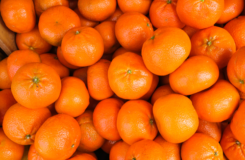 「みかんにカビが…」そんな経験ある方【必見】の保存テク！“常温”でも“冷凍”でも長く美味しく食べられる！