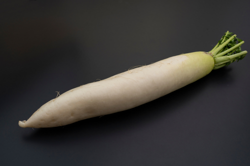 “ウェルシュ菌”にご注意！腐った大根の見分け方と正しい保存方法