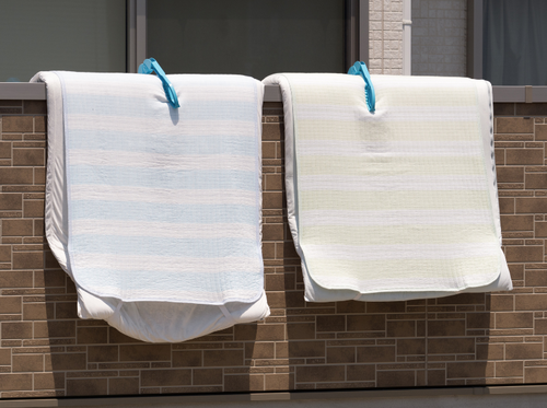 恐ろしい『布団のカビ』は絶対に放置NG！正しい対処方法3選と予防策