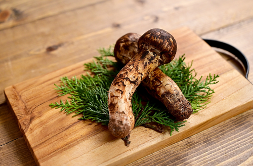 思わず「キャア！」と叫んだワケ…親戚からもらった“松茸”が【トラウマ級】の恐怖…！？