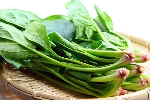 3日でダメにする人は試して！意外と知らない「ほうれん草」の鮮度が【驚くほど】長持ちする保存テク