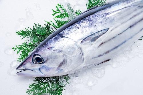 旬の『初鰹』“たたき”もいいけど【ムニエル・ステーキ・ピカタ】も最高♡時短レシピ紹介！