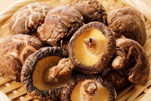 「しいたけに虫が…汗」←浸水させずに取り除く方法あり！ただし【ナメクジ】には要注意！？