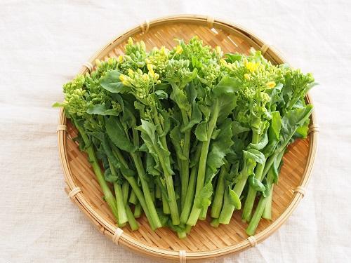 簡単！菜の花の【下処理と茹で方】苦みを抑えて美味しく仕上げる調理テク♪