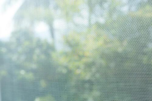 簡単すぎてむしろ不安…？（笑）【網戸掃除】を“たった5分”で完璧に終わらせる裏ワザがスゴイ！