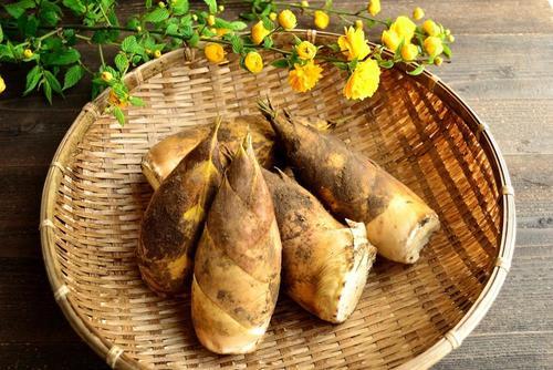 鮮度が命【タケノコ】の上手な茹で方⇒“米ぬか”なしで茹でる方法もあるよ！
