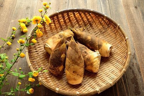 「たけのこ食べたいけど下処理が…」←こんな人は必見！アク抜きから保存まで完全ガイド♪