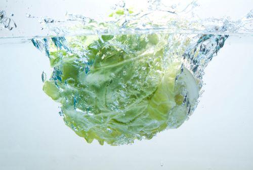 【キャベツ】どうやって洗ってる？鮮度と栄養を“最大限キープ”する切り方や保存テクも教えます！