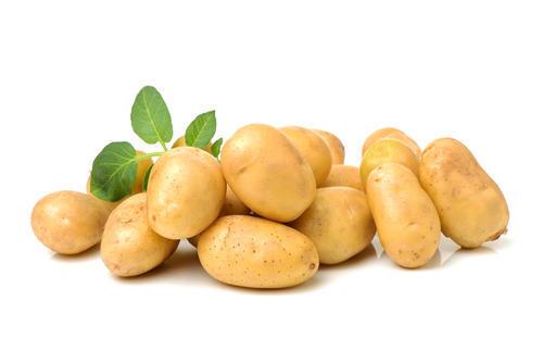 「じゃがいも」火を通すのに茹でてない？レンジを使った【超絶時短テク】あるよ♪