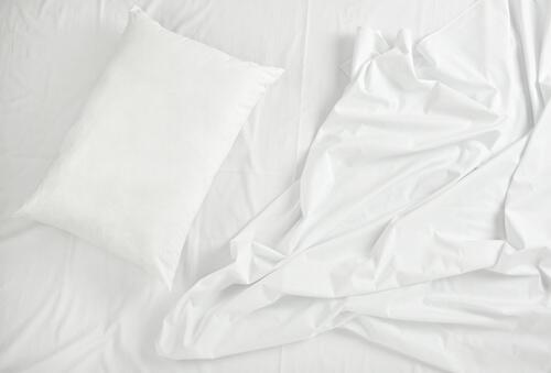 「週末にシーツ洗おう」←こんな人は要注意！繁殖期の“今”こそ【ダニ退治】をすべき本当の理由。