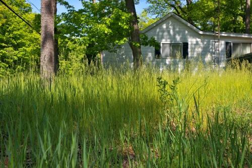【熱湯除草】手軽だけど…お湯なら“何でもいい”ワケじゃない！？知っておくべき「重大な」デメリット
