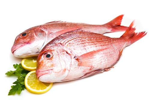 今夜食べたくなる【春が旬の魚介5選】今しか味わえない“ごちそう”の贅沢な楽しみ方♪