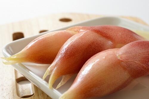 『ミョウガ』←料理によって“切り方”変えてる？味わいも食感も【激変】するから試してみて♪