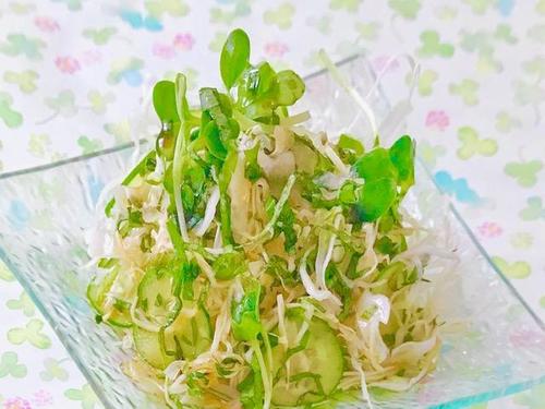 大量消費にも◎やみつき確定『キャベツと大葉のさっぱりサラダ』簡単レシピ｜香りと食感がクセになる♡