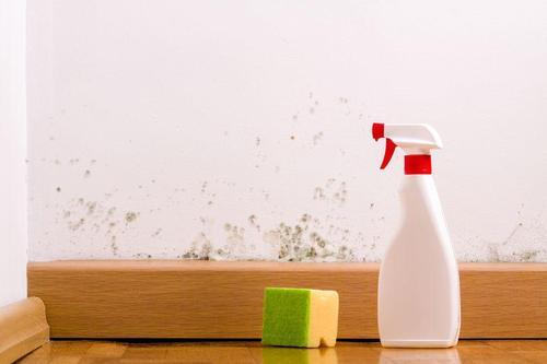 【恐怖】壁紙の“黒いシミ”を放置してはいけない理由。健康被害や高額な修繕費用につながるってホント！？