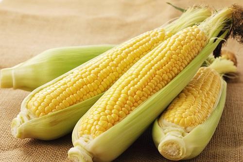 『とうもろこし』は夏が旬♪シャキシャキ食感と自然な甘みを逃さない“下処理のひと手間”とオススメ調理法♡