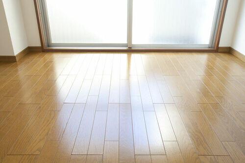 「フローリングに小さな穴が…」←それ要注意【ヒラタキクイムシ】の仕業かも！駆除方法＆予防方法を解説！