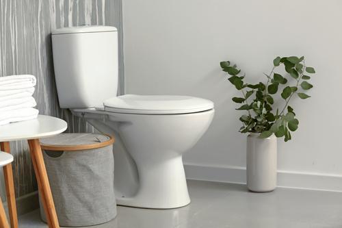 【有毒ガスにご注意】トイレの床掃除に使う洗剤の“正解”はどれ？尿汚れも黒ずみも根こそぎ落とす掃除方法と注意点！