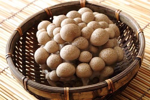 「しめじの石づき」ってどこまで切るの？→“無駄なく使い切る”コツと【旬】を楽しむ絶品レシピ5選♡
