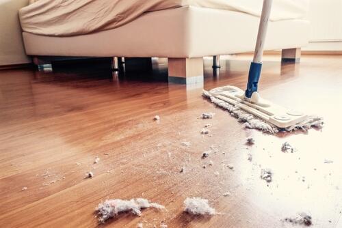 「すぐに溜まる“埃”にイライラ…」←こんな人は必見！埃を『劇的に減らす』コツと秀逸すぎる【お掃除アイテム】を紹介！