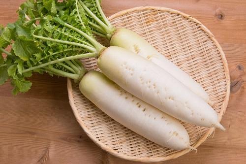 大根が“腐った状態”って？→触感でわかる【傷みのサイン】ブヨブヨしてきたら要注意！？