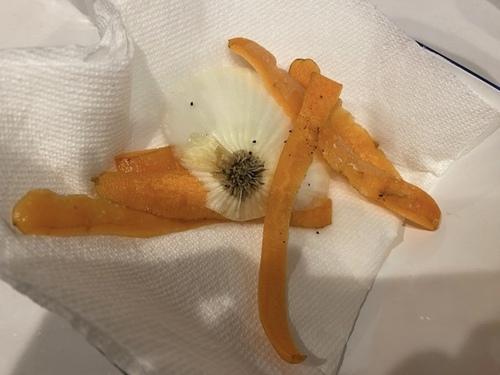 生ゴミはなぜ臭うの?