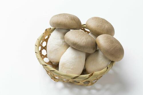 【実は】あのきのこは日本に自生していないんです！役立つ『きのこクイズ』に挑戦！