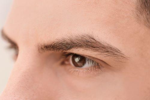 スッキリ眉毛の男性の写真