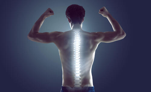 脊柱起立筋の筋トレ方法！たくましい背中に鍛え上げるポイントを解説