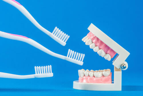 歯磨きのしすぎは逆効果を招く！？知っておきたい正しい歯の磨き方