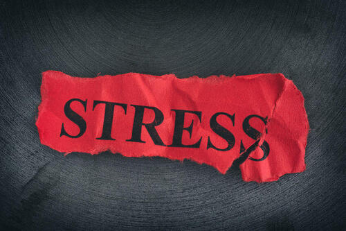 ストレス臭ってどんなニオイ？ストレス臭を予防・軽減する対策とは？