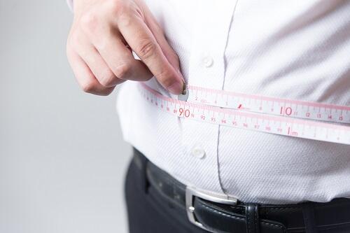 内臓脂肪の落とし方の基本は運動と食事！見直すべきポイントを解説
