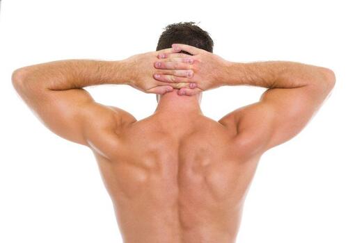 肩のインナーマッスルの役割とは？鍛える効果と正しい鍛え方を解説！