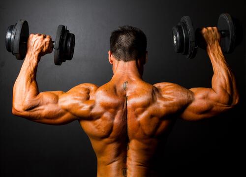 背中の筋肉が鍛え上げられた、ダンベルを持つ男性の後ろ姿の写真