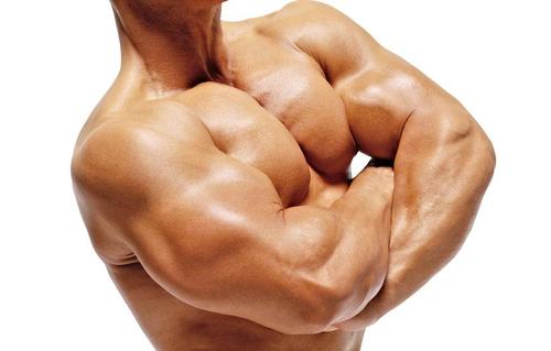 トライセプスってどんな筋肉？効果の出やすいトレーニングのコツ