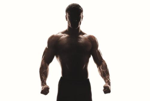 筋肉とは？筋力で鍛えたい全身の筋肉について詳しく解説！