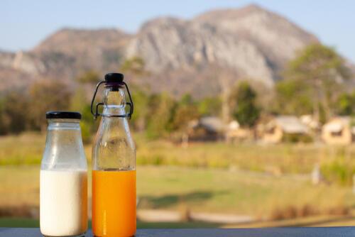 遠くに山が見える風景と、ファスティング向けの飲料の写真