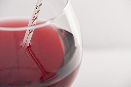 グラスに入った赤ワインと温度計の写真