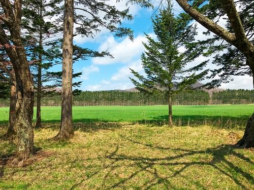 じゃがいも焼酎はシンプルですっきりとした北海道名産の焼酎！